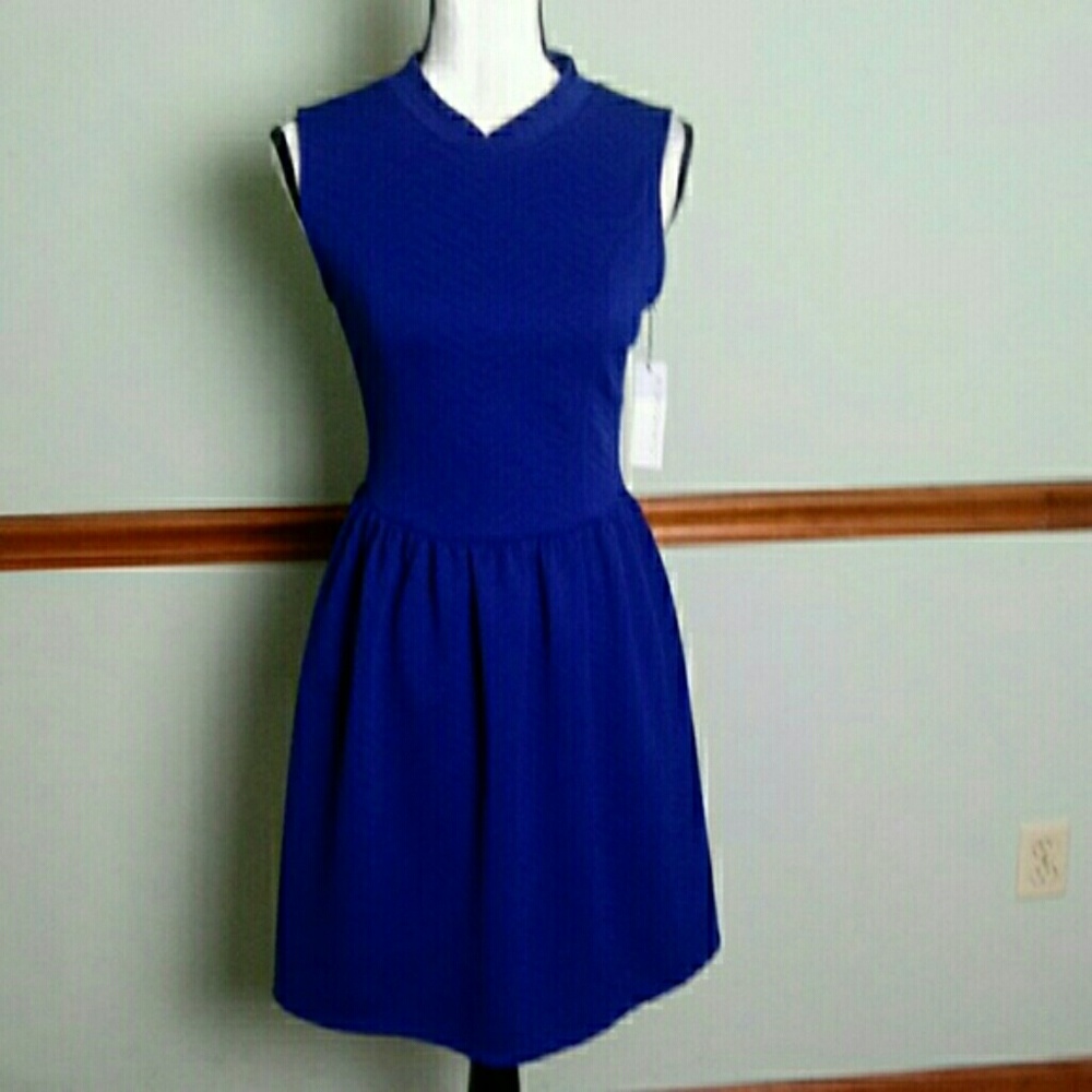 Petite New Stitch fix blue loveappella size large dress.